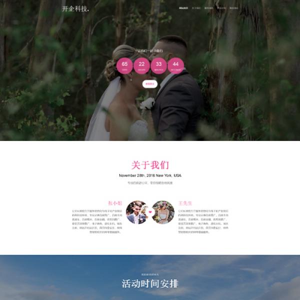 旅游公司ZYY190409