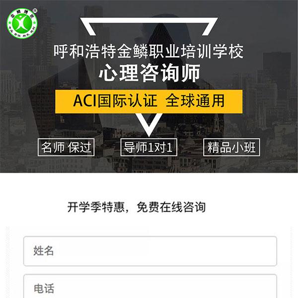 ZYY落地页03