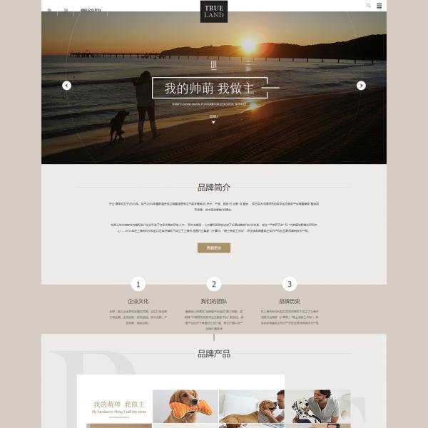 个性品牌展示ZYY20230902