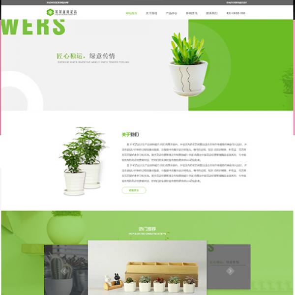 绿植ZYY220102
