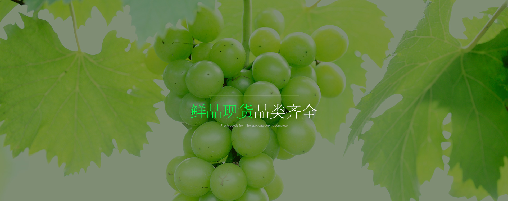响应式网站模板，不同终端，同样精彩