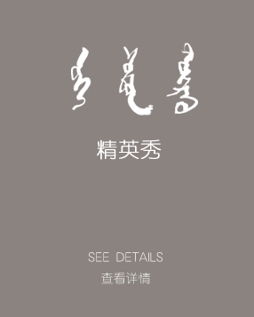 精英秀