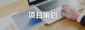 项目策划